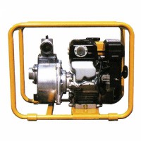 Kohler RTG 300 LH